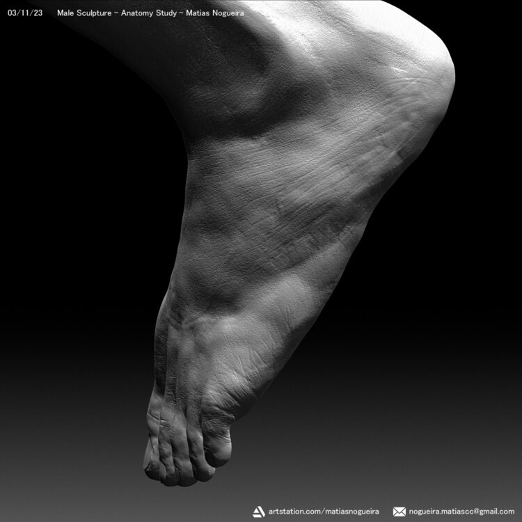 nayanne nogueira feet 6