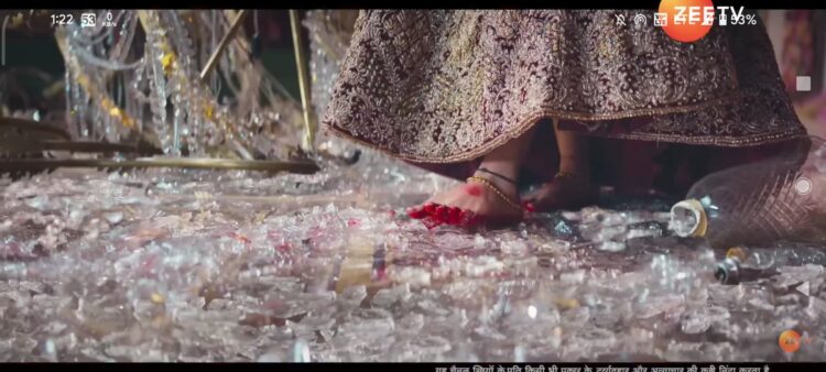 neeharika roy feet 2