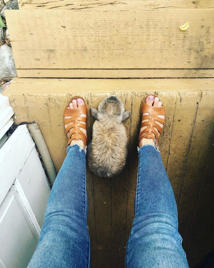 neyla pekarek feet 4