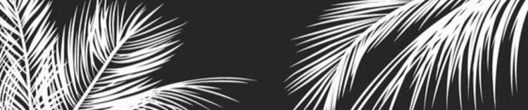 nichelle deriska pesik feet 6