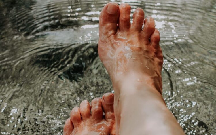 nicole hernandez gutierrez feet