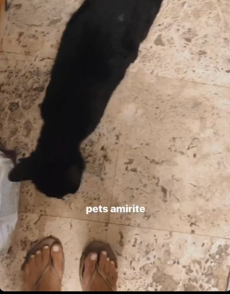 nicole lopez alvar feet 3