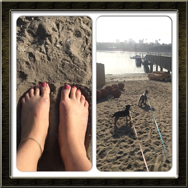 nicole taffer feet 1