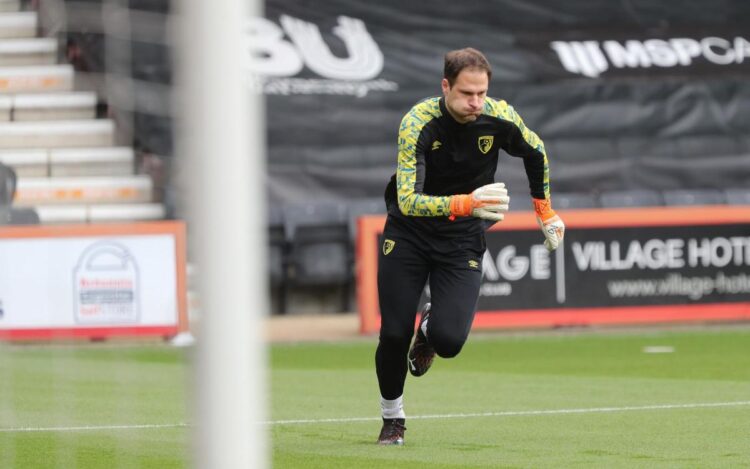 nicolle begovic feet 6