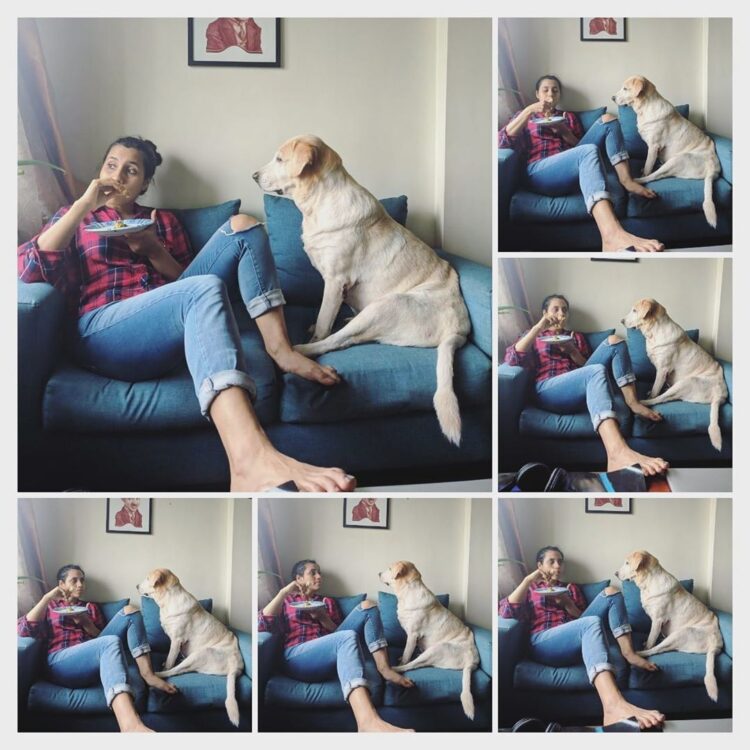 nikhita gandhi feet 2