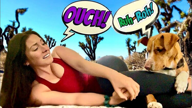 nikki delventhal feet 4