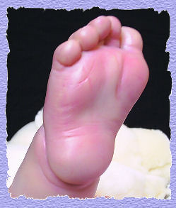 nikki holland feet 3