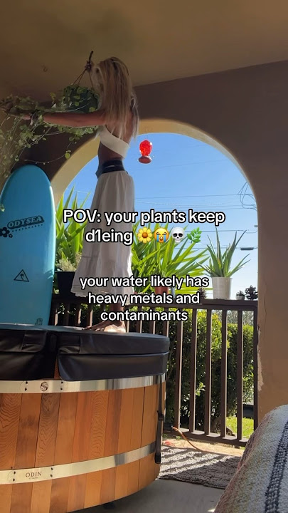 nikki neisler feet 6