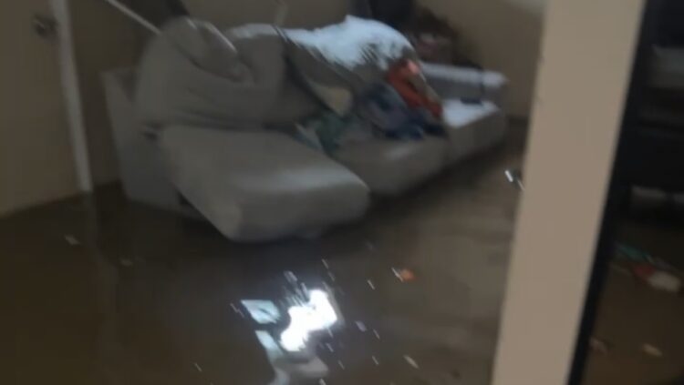 noelia franco feet 3