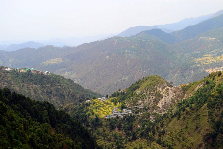 norah richards feet 6