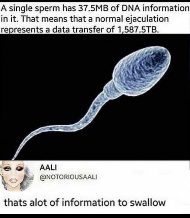 notoriousaali feet 2