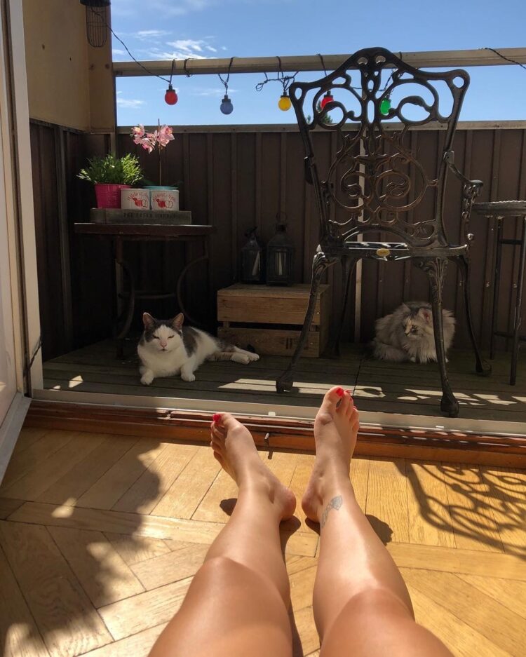 nour el sherbini feet 1