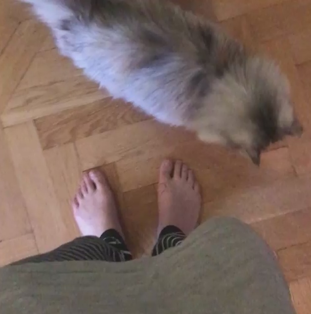 nour el sherbini feet 6