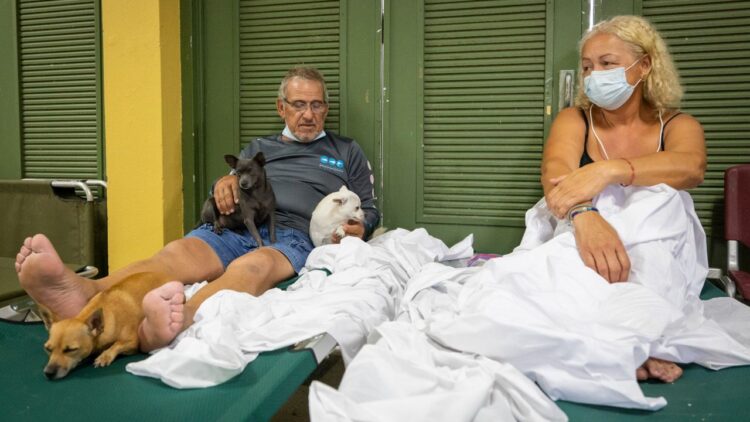 nydia velazquez feet 4