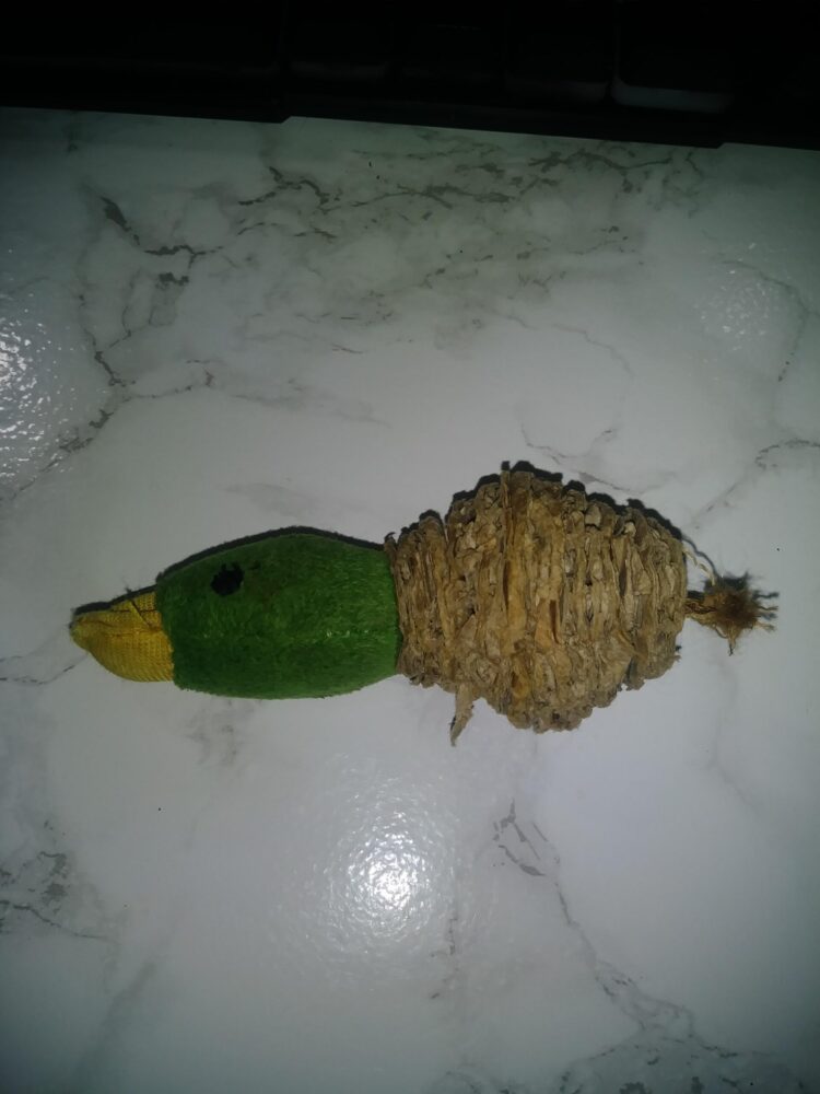 ohheyimvixen feet 4 scaled