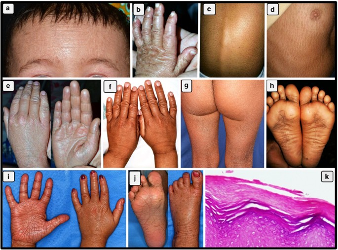 ola abdel hamid feet 6