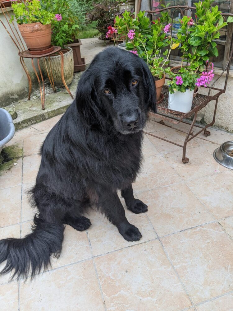 olivia ernstoff feet 3