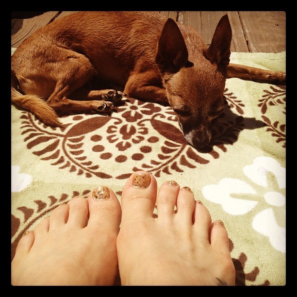 olivia taylor feet 2