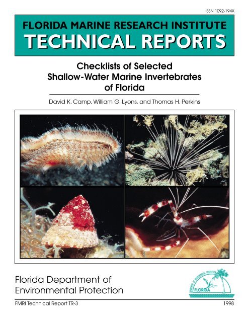 ophelie rullier feet 6