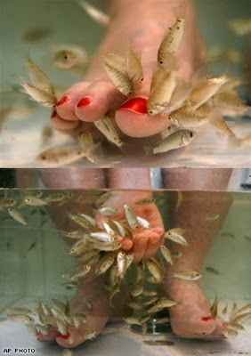 paige taylor evans feet 1