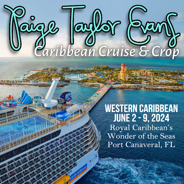 paige taylor evans feet 3