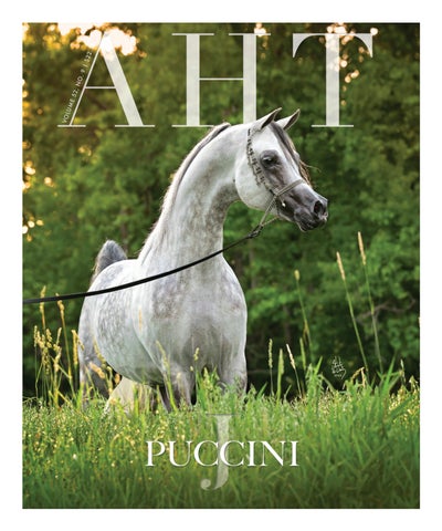 paige tiziani feet 5