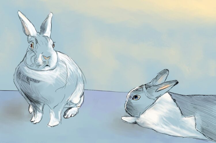 paivi gentlemanbunny feet 1