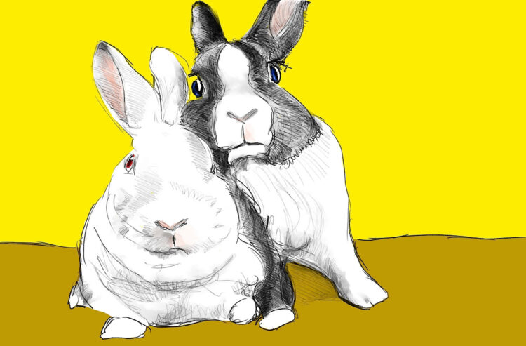 paivi gentlemanbunny feet 2