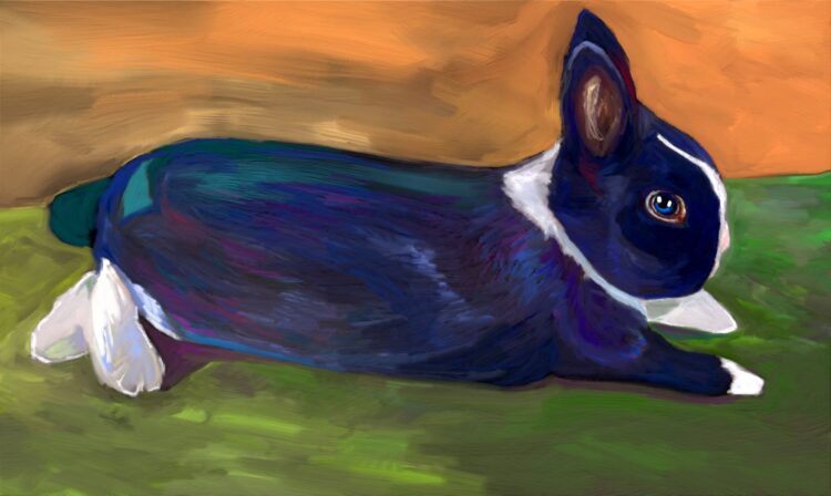 paivi gentlemanbunny feet 5