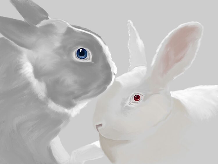 paivi gentlemanbunny feet