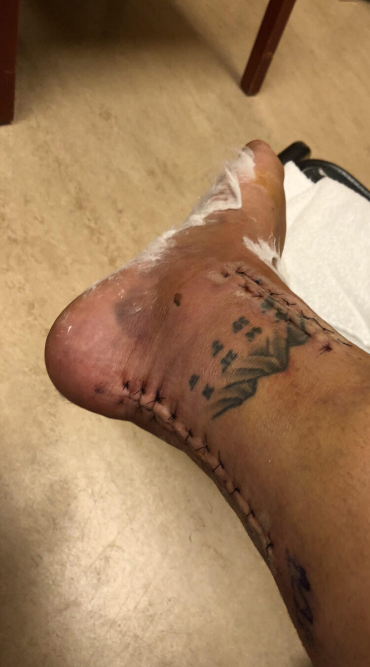 paleobailey feet scaled