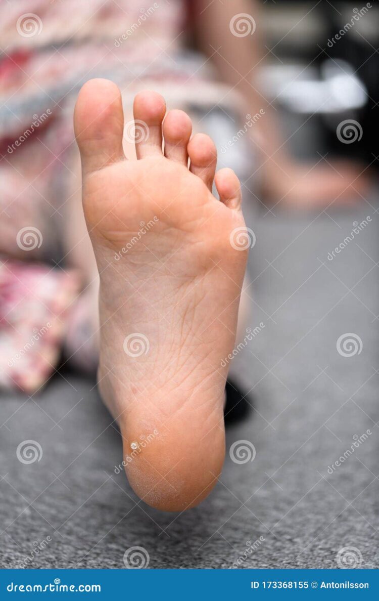 palloma pessoa feet 3