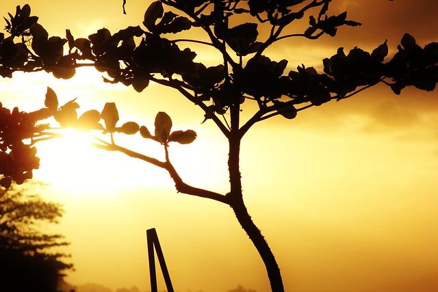 pamella cristina feet 5