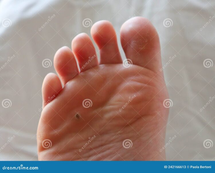 paola cassano feet 6