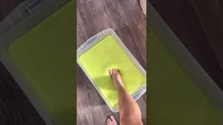 parakeet slimes feet