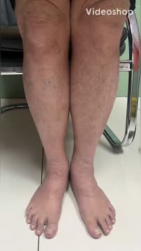 parisa fakhri feet 6