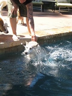 patty schemel feet 1