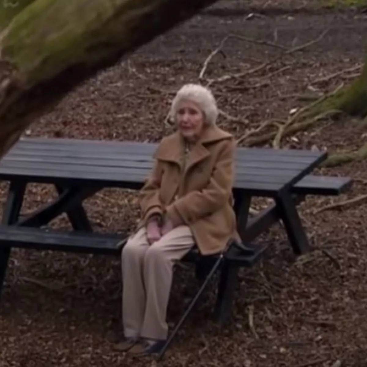 paula tilbrook feet 1