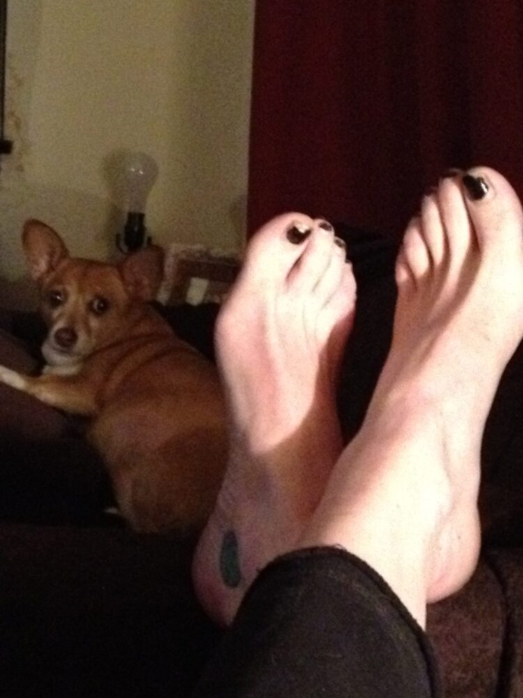 pauley perrette feet 1 scaled