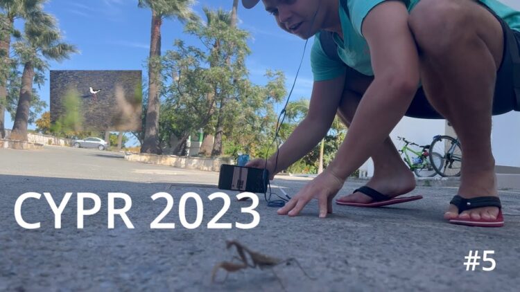 paulina czepielewicz feet 5