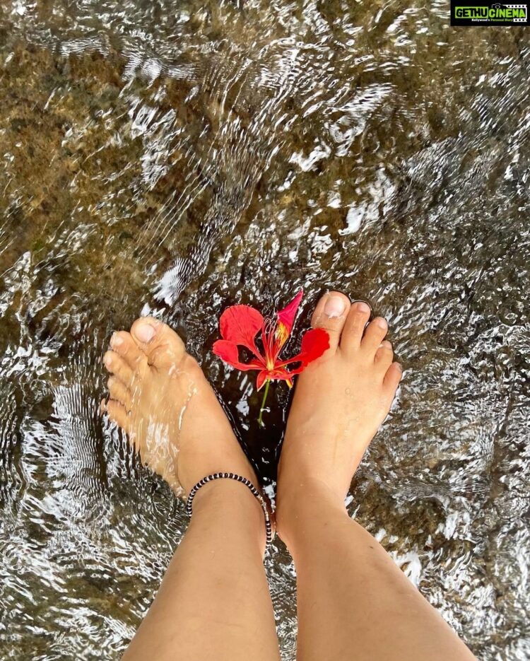 pavithra janani feet 4