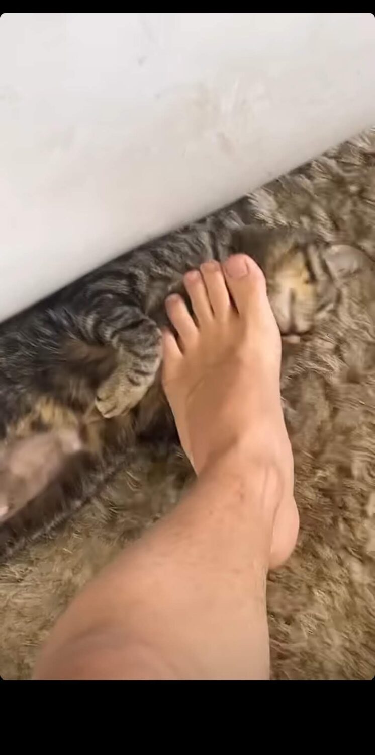 pedro leonardo feet 5