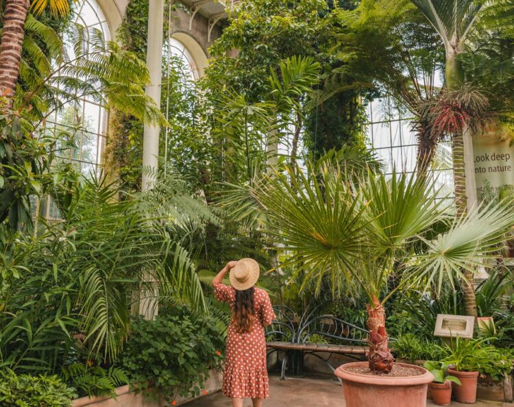 penelope bielckus feet 2