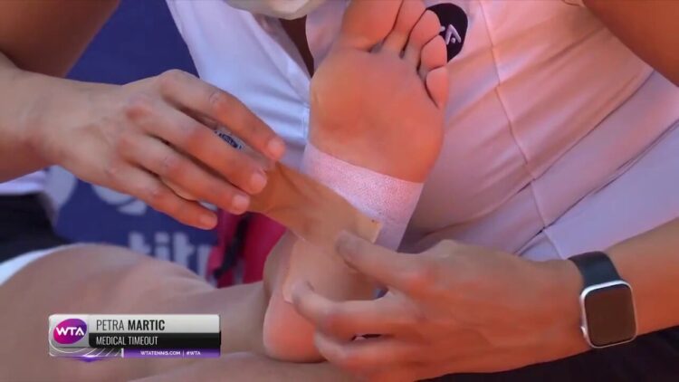 petra martic feet 3