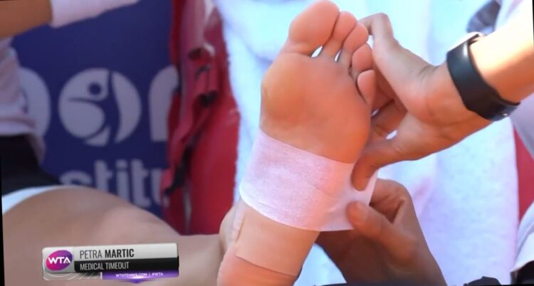 petra martic feet