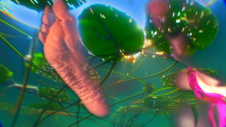 pipilotti rist feet 3