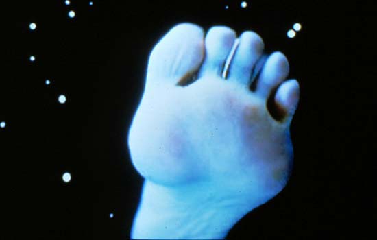 pipilotti rist feet 4