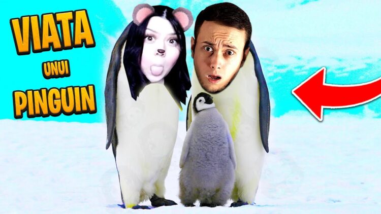 pisica miaumiau feet 2