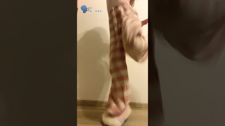 pisica miaumiau feet 4