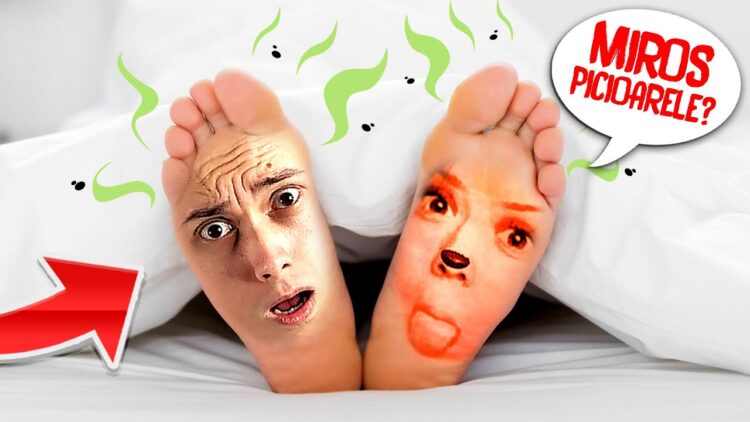 pisica miaumiau feet